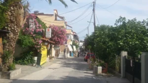 Potos Tasos