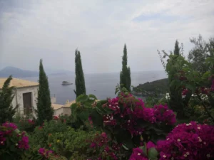 Sivota