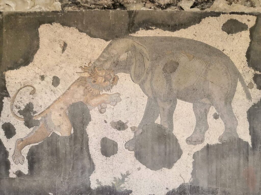 Mozaik iz Carske palate