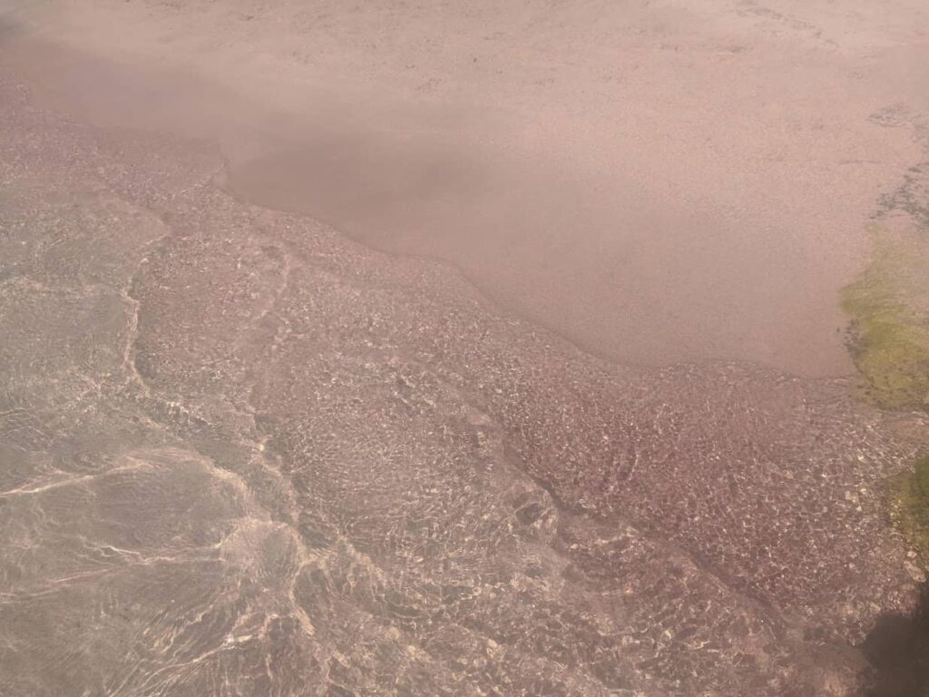 Roze pesak na Elafonissiju