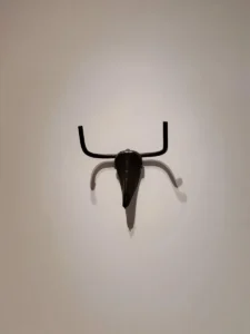 Glava bika