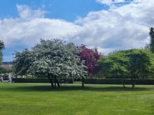 Kraljevski park u Kopenhagenu 2