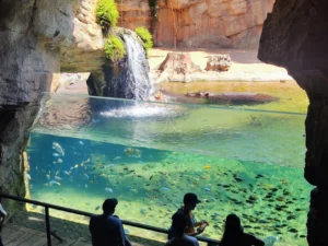 Nilski konji u Bioparku