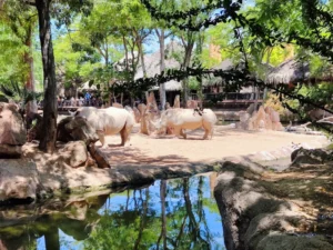 Nosorozi u Bioparku