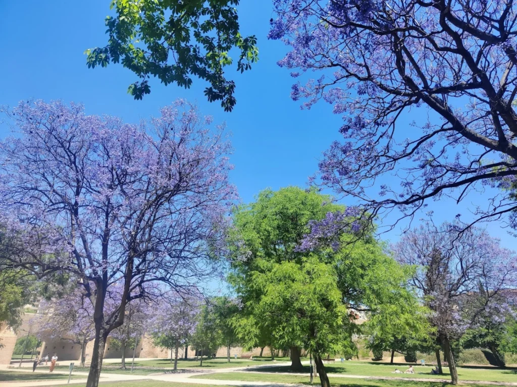 Park Turia Valensija