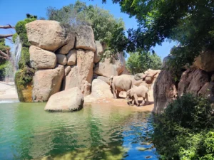 Slonče u Bioparku